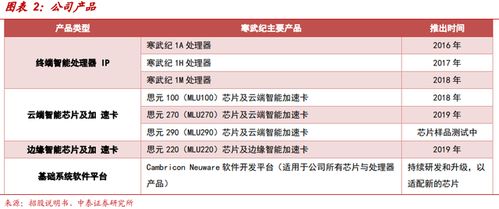 寒武紀 AI芯片獨角獸的突圍之路與工業(yè)互聯(lián)網(wǎng)數(shù)據(jù)服務(wù)的新航向